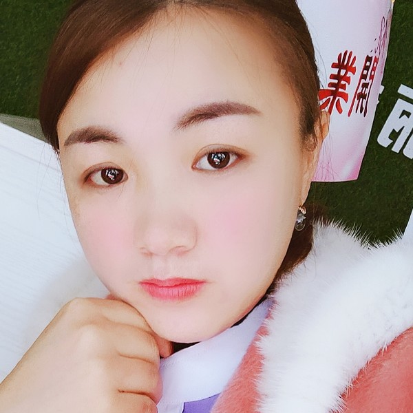 热心浅吻向日葵的照片