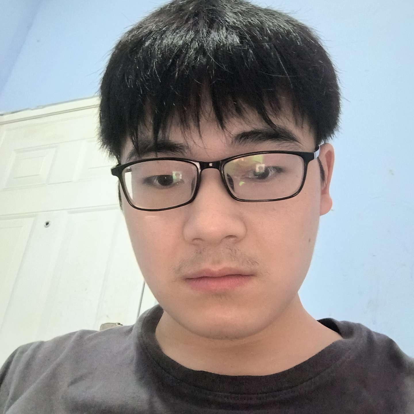 走走吧的照片