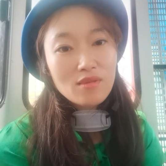 恬静草的照片