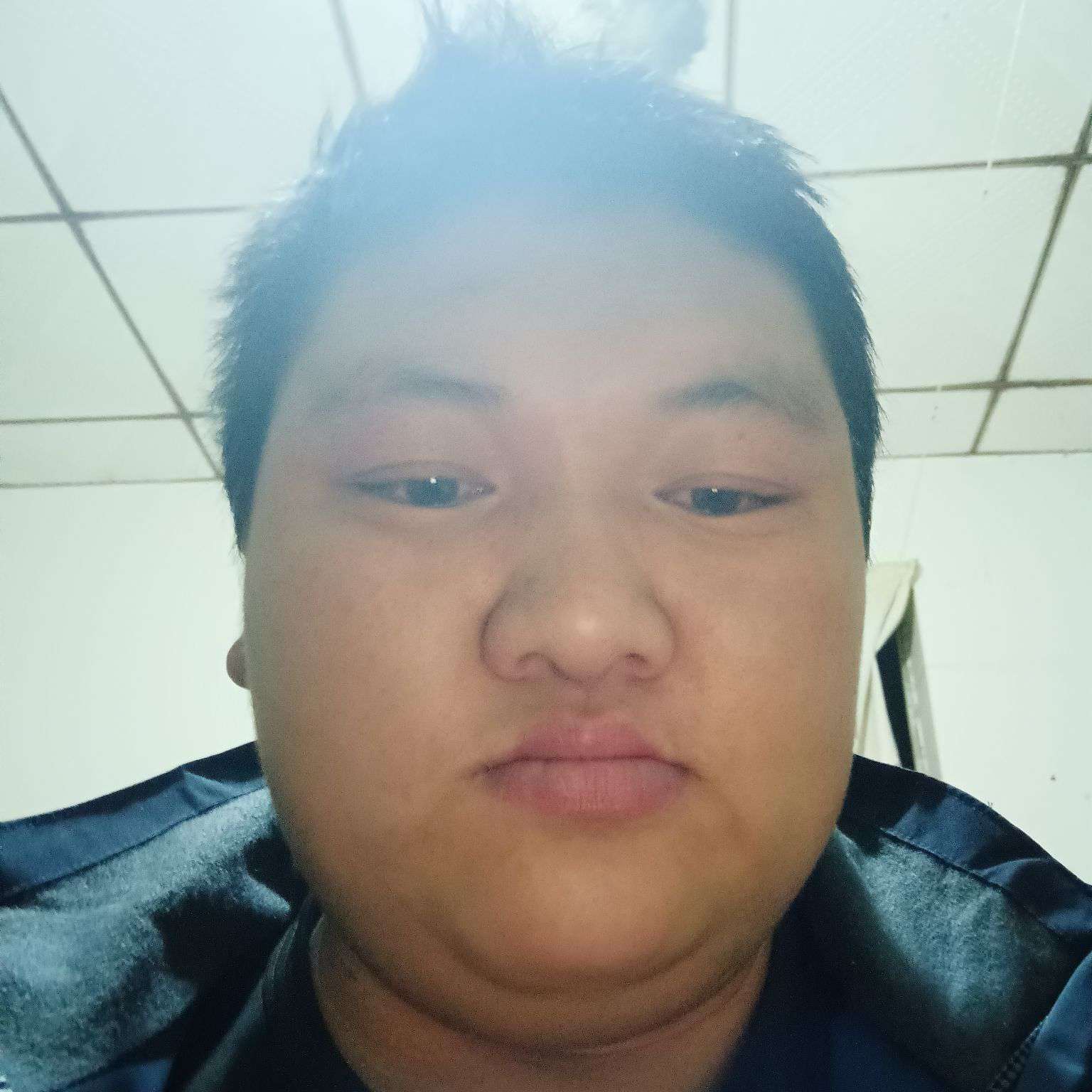 大树放弃风中的照片