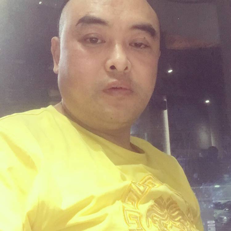 忘忧典雅的照片