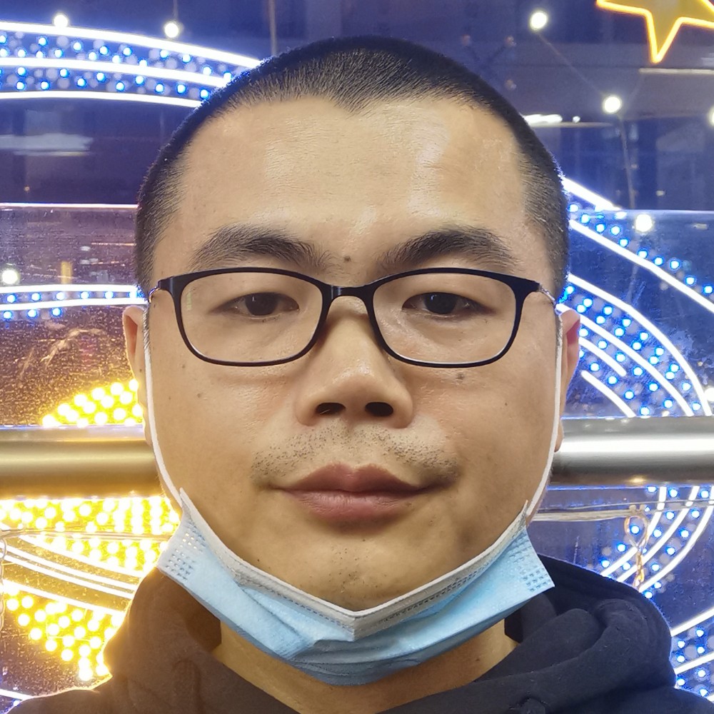 彩色说小海豚的照片