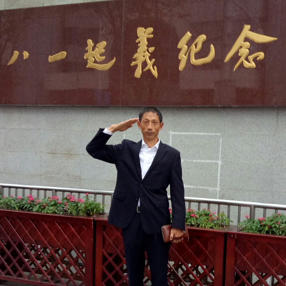 听话羽毛的照片