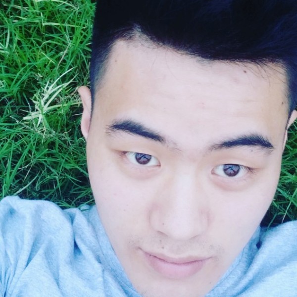 翅膀和缠绵的照片