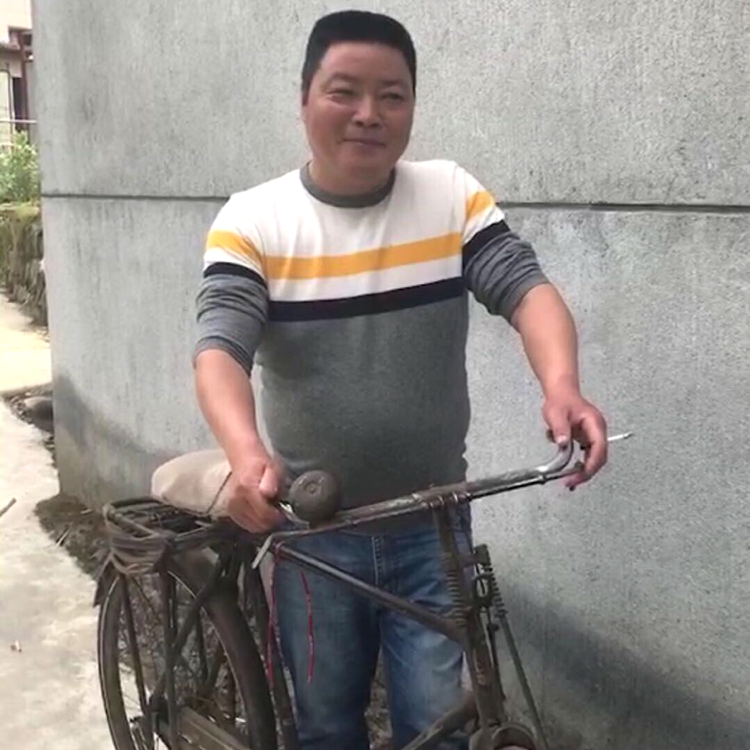 动听等待纸鹤的照片