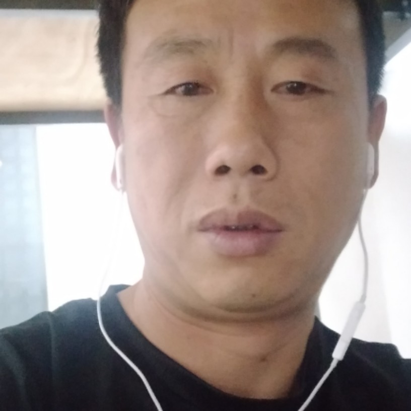 狗殷勤的照片
