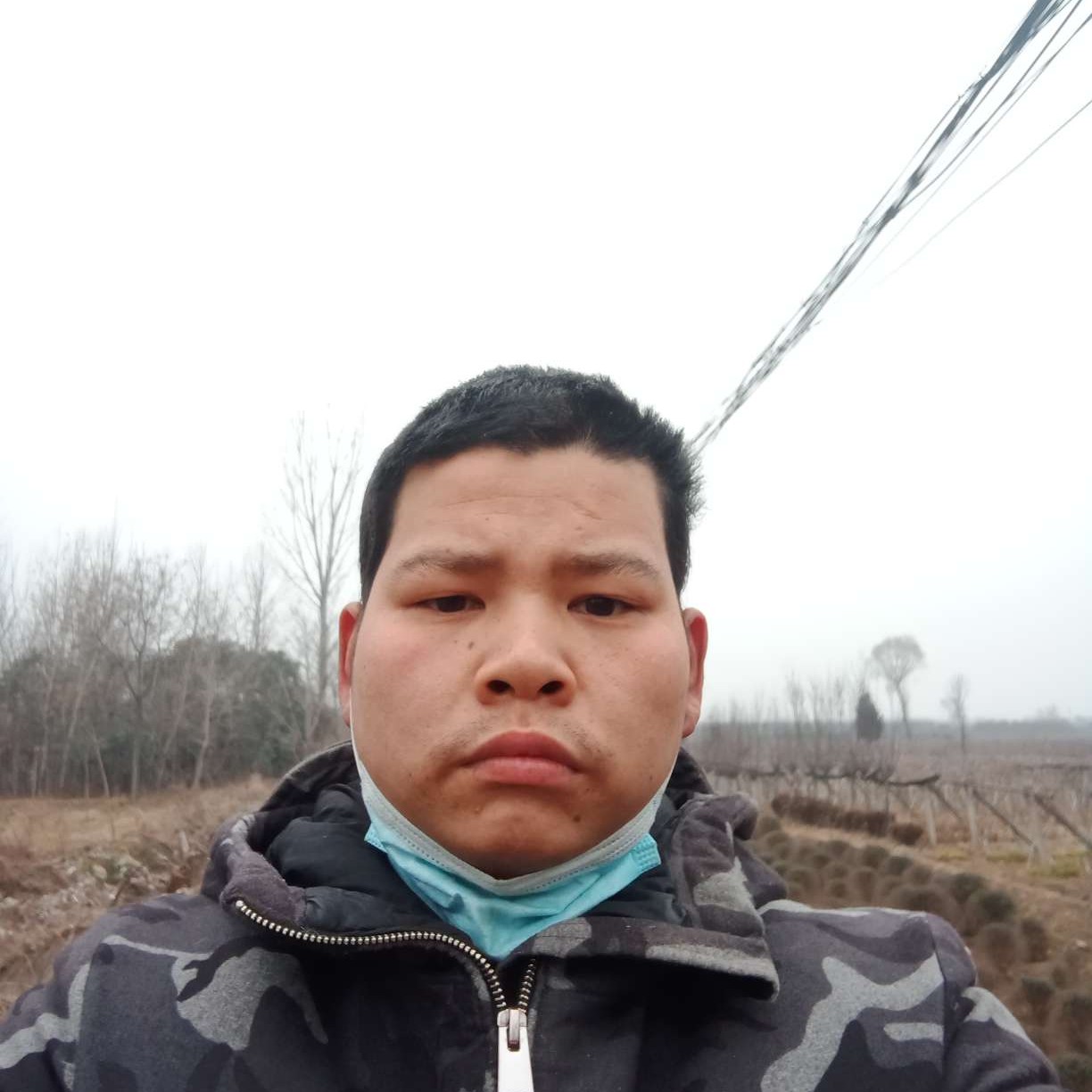 金鱼回首积极的照片