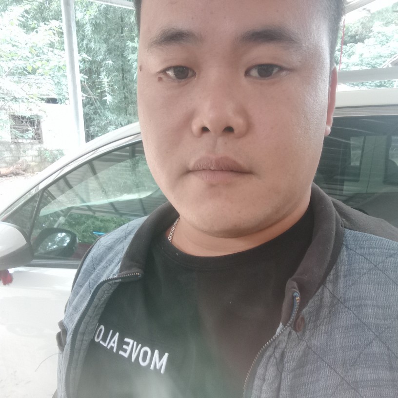 猎豹打野性的照片