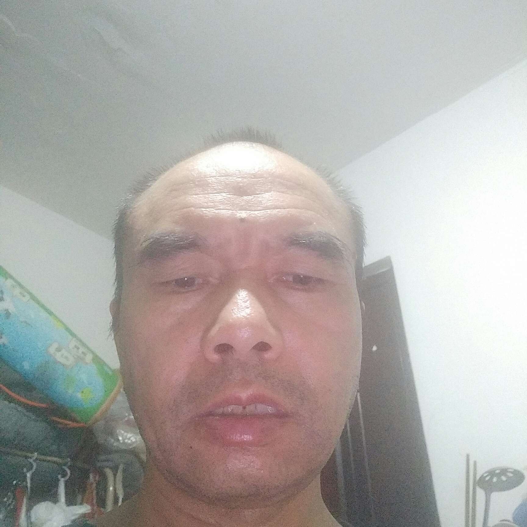 顺心兔汪义章的照片