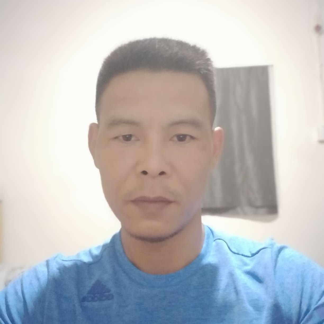 闪闪蝶的照片