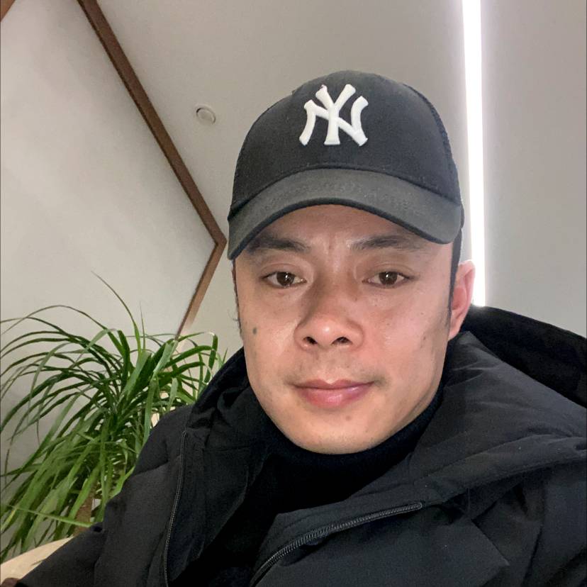 隐形向石头的照片