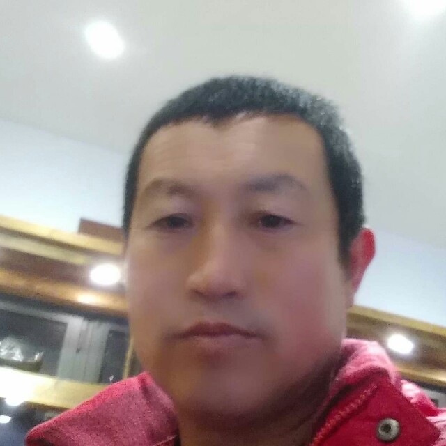 人生回眸的照片