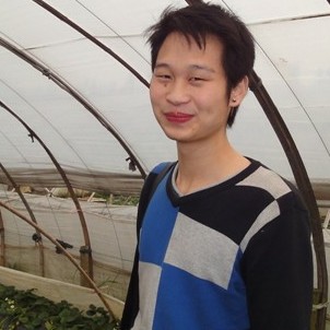 喜欢陪你看流星的照片