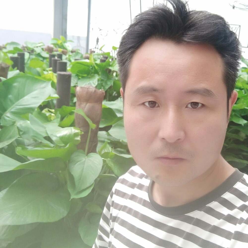 可靠曲奇的照片