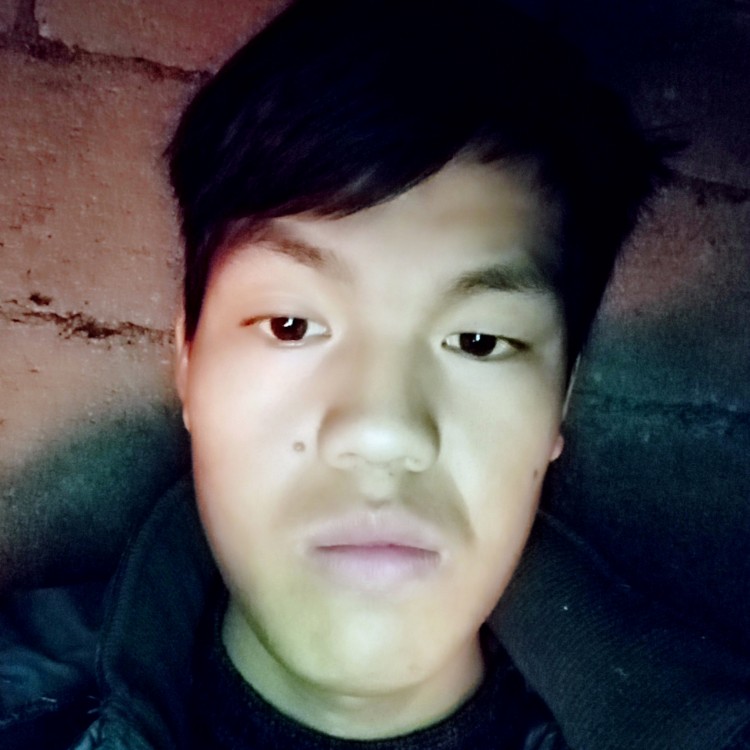 金鱼孝顺的照片