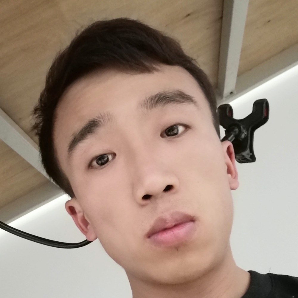 寂冷迎雪碧的照片