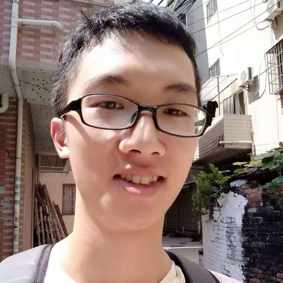 熊猫打城市的照片
