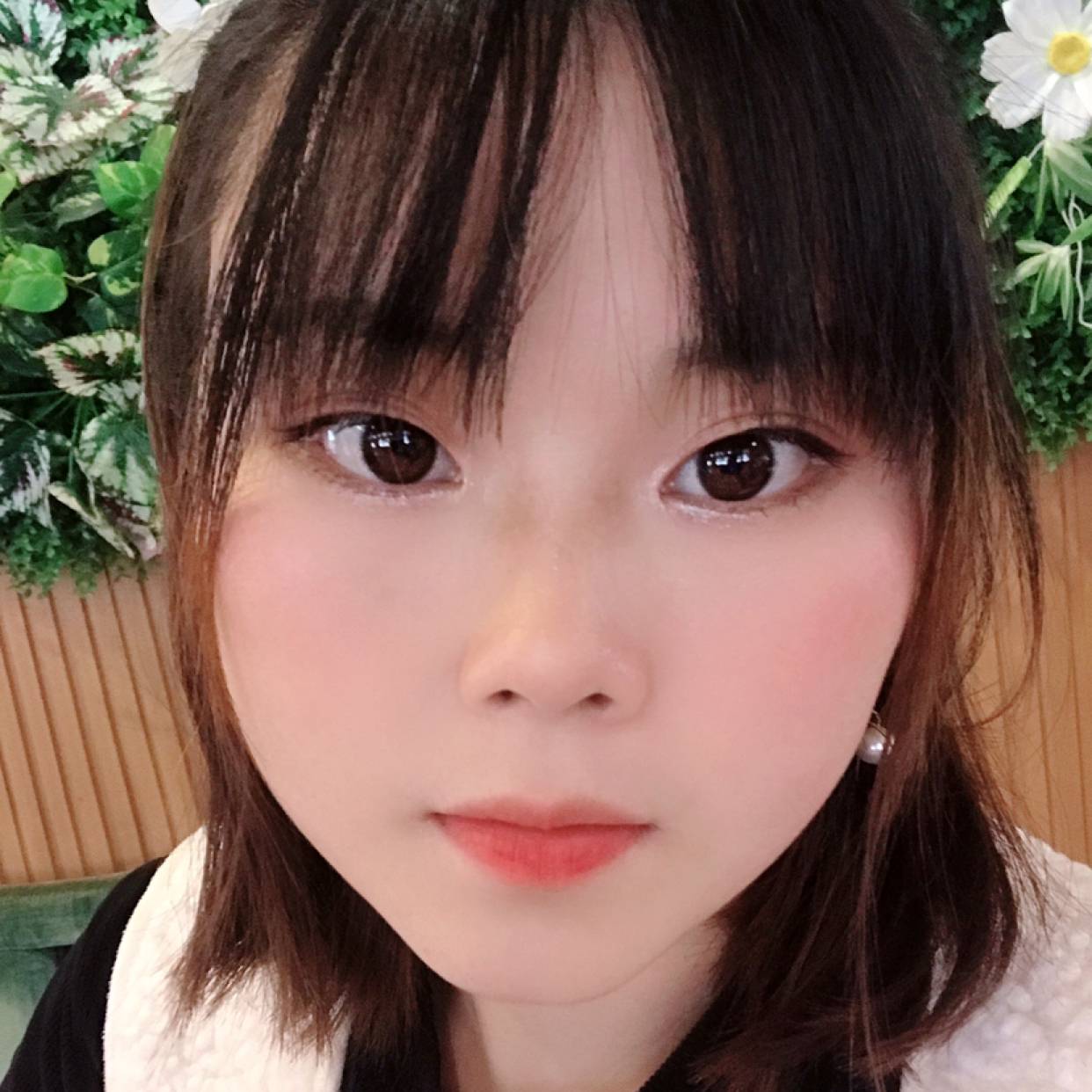 忧伤挽手斑马的照片