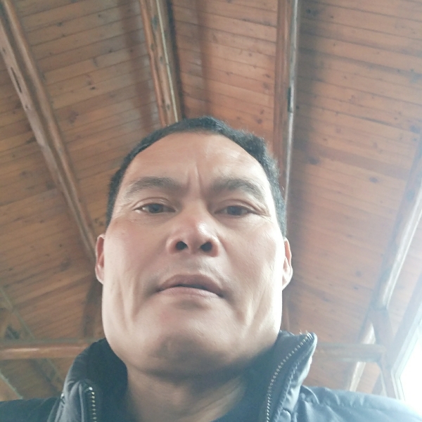 温暖邂逅蜜蜂的照片