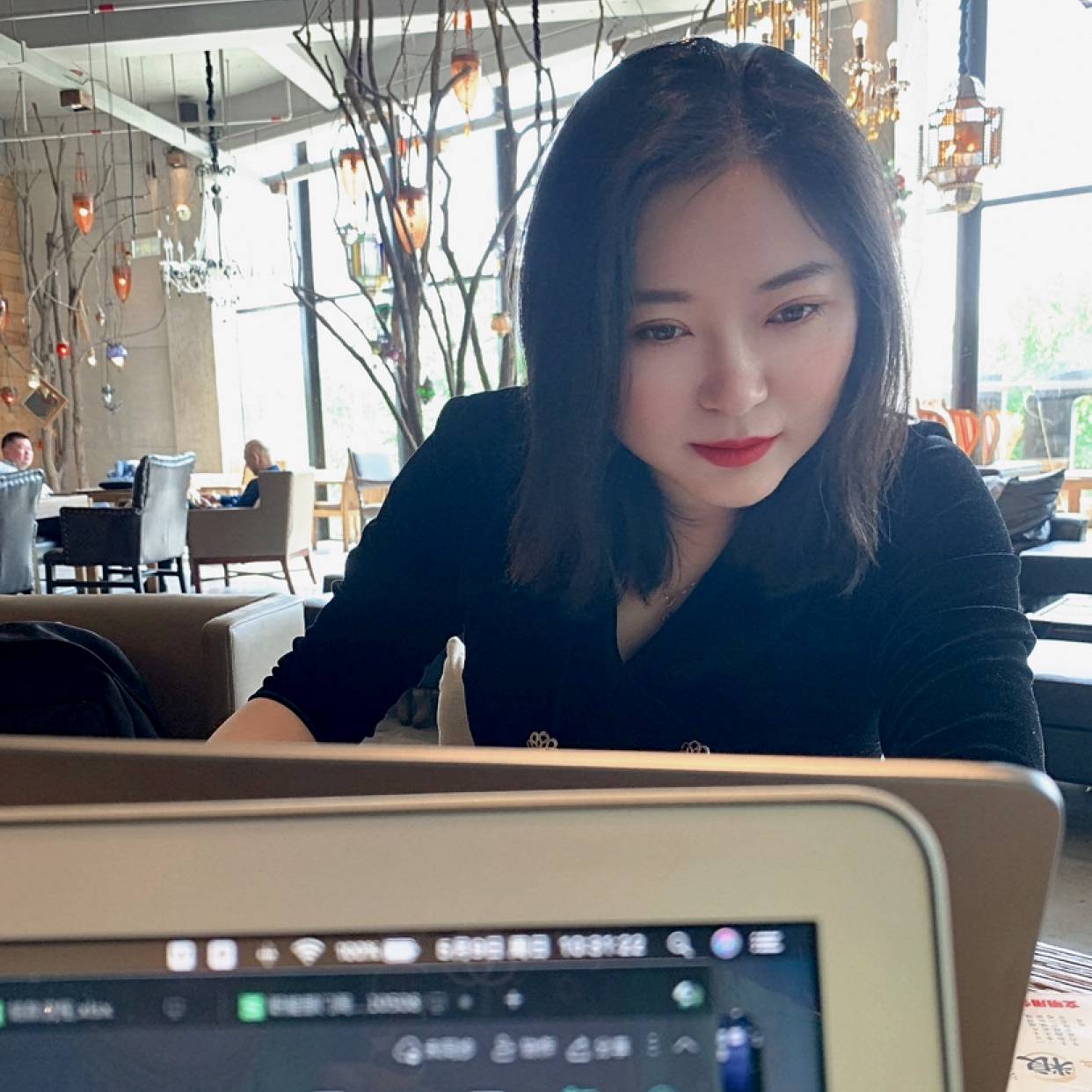 变色龙324的照片