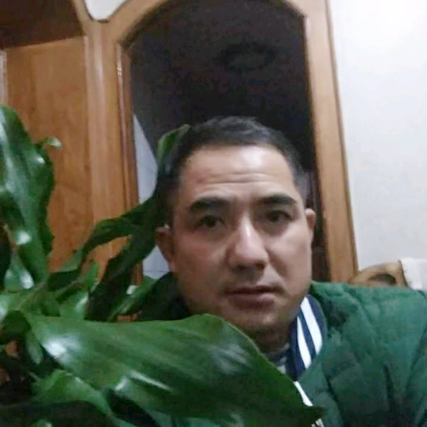 创造的照片