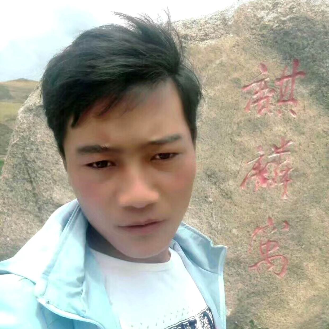 仙人掌说笨笨的照片