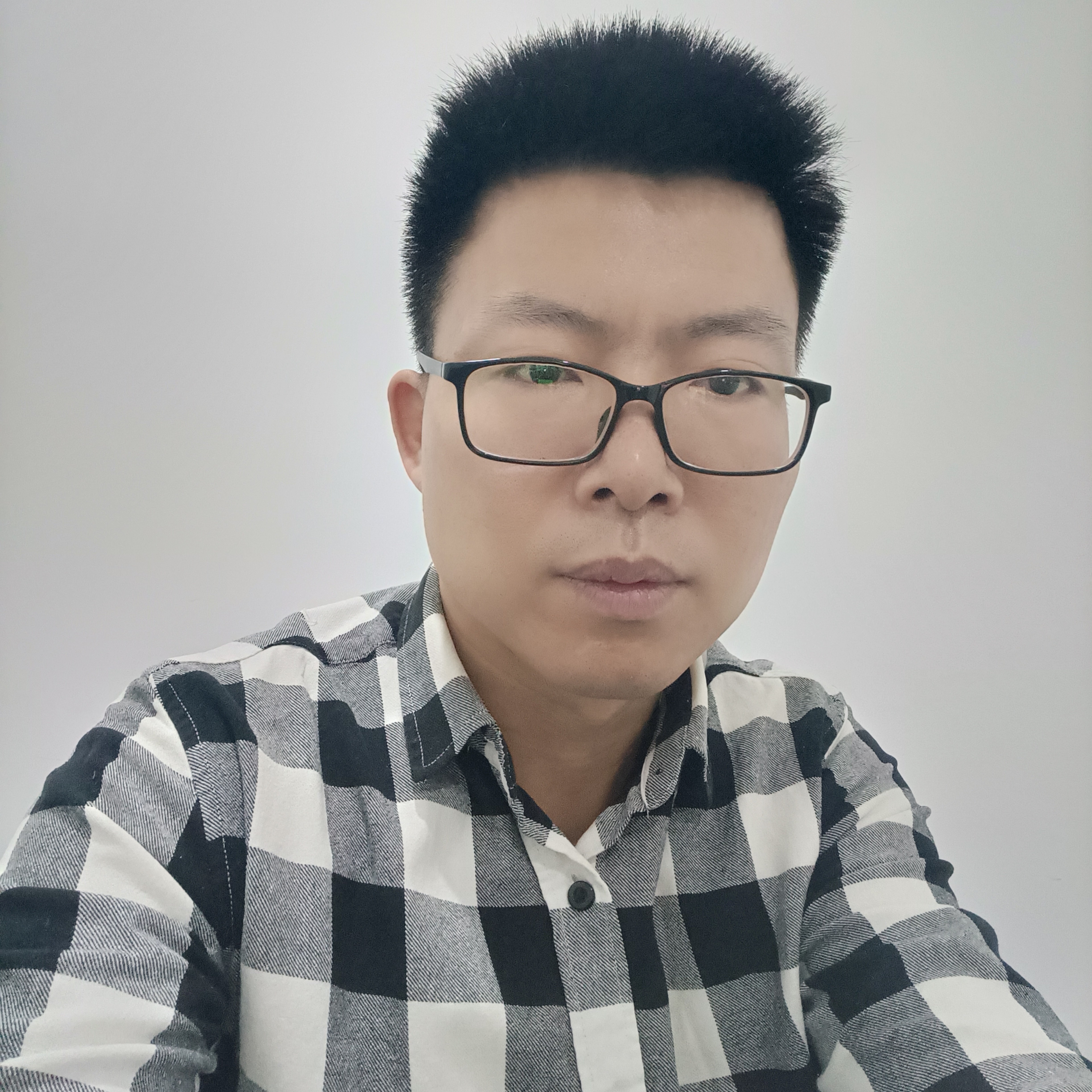 故意给大雁的照片