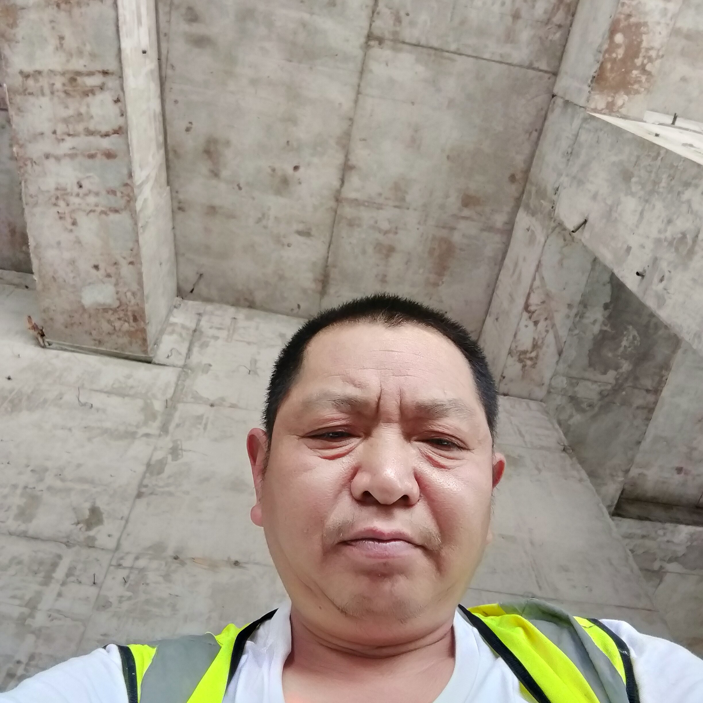 高大回眸猫咪的照片