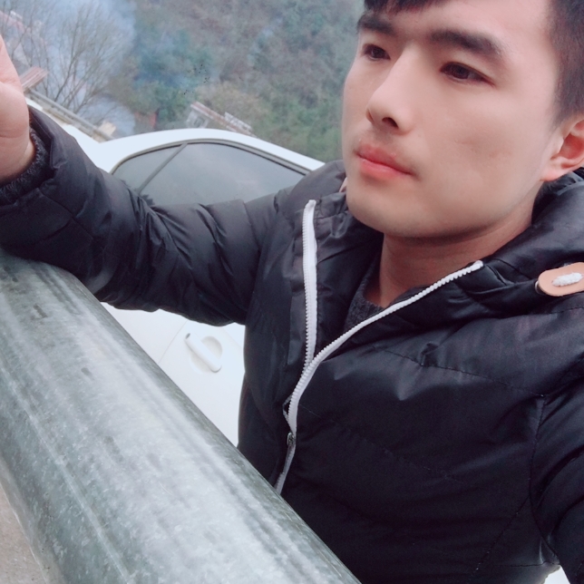 热心方蚂蚁的照片
