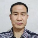 羊回眸饱满的照片
