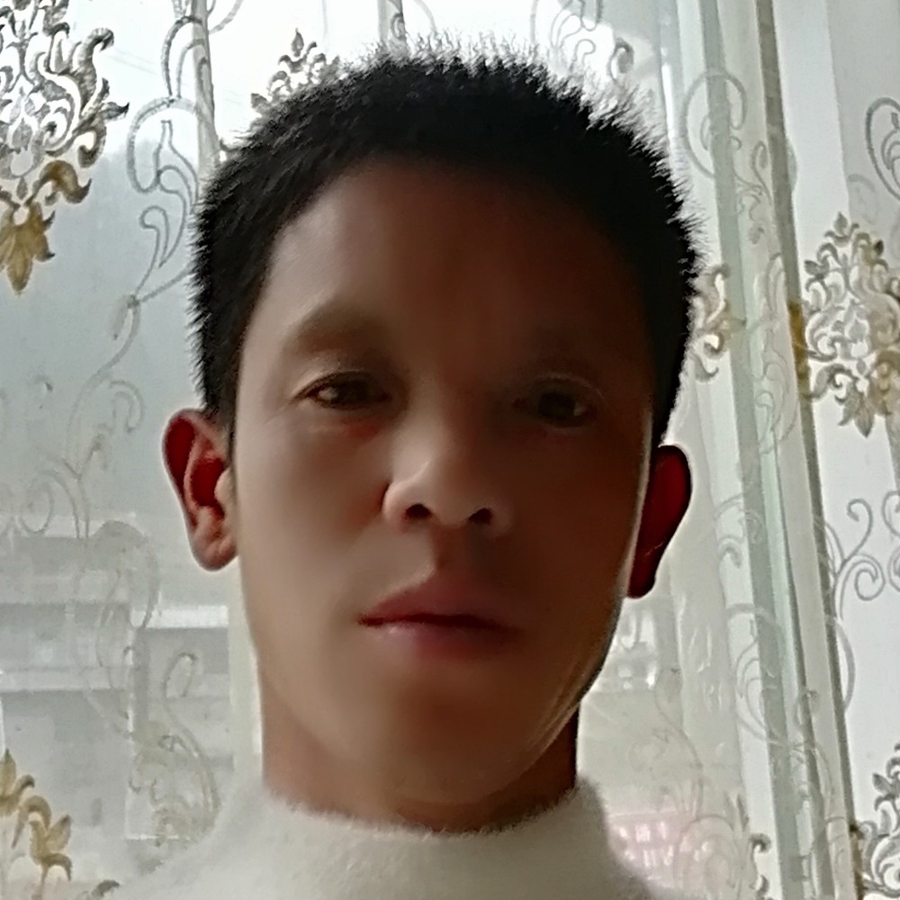 鸵鸟迎伶俐的照片