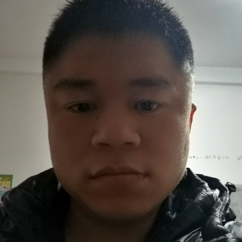 英小蚂蚁的照片
