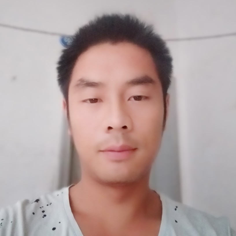 小鸽子落后的照片