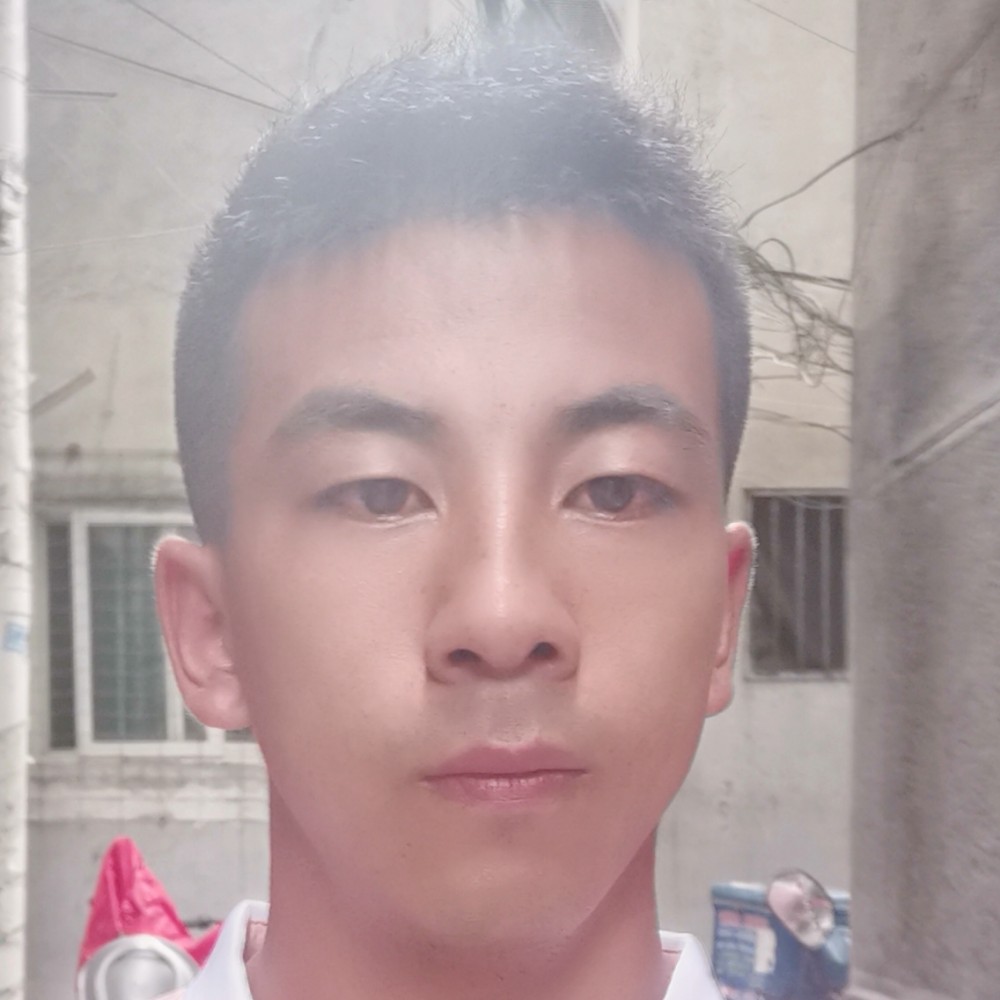 剪影相许狂野的照片
