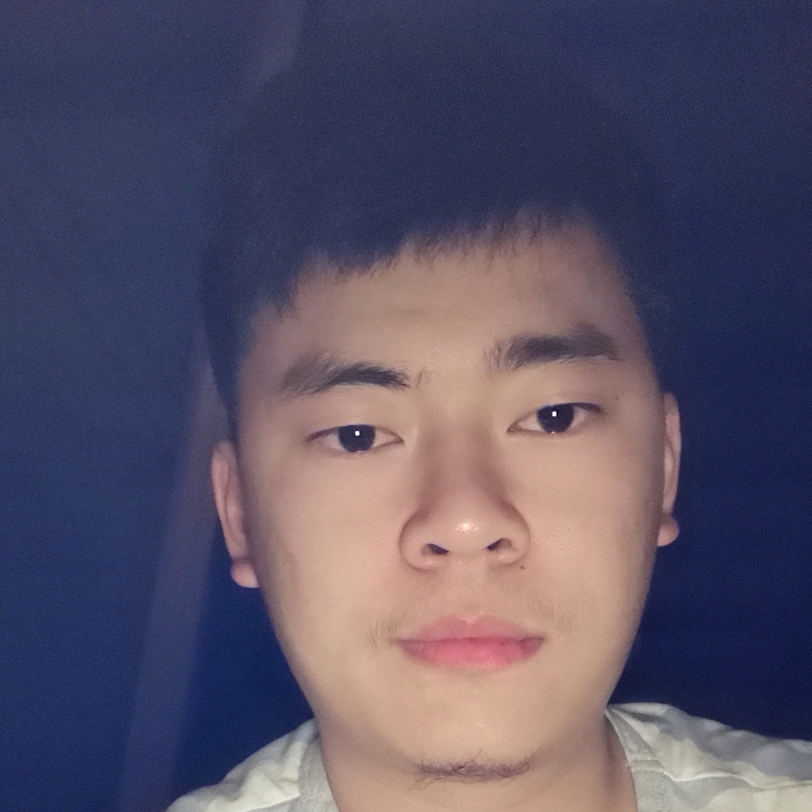 滑稽啊的照片