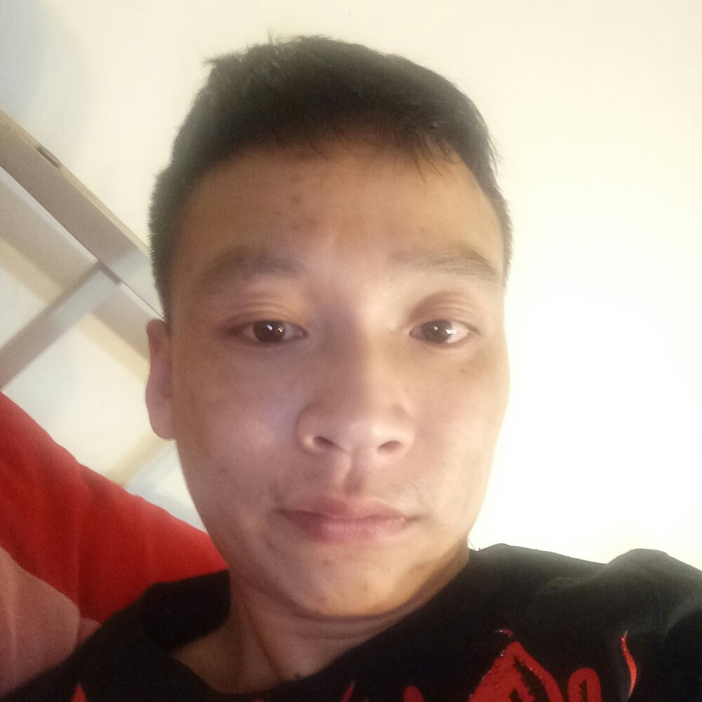 轻松飞鸟的照片