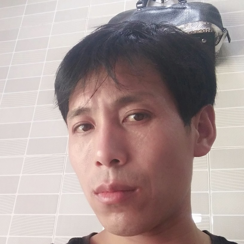 难过倾心河马的照片