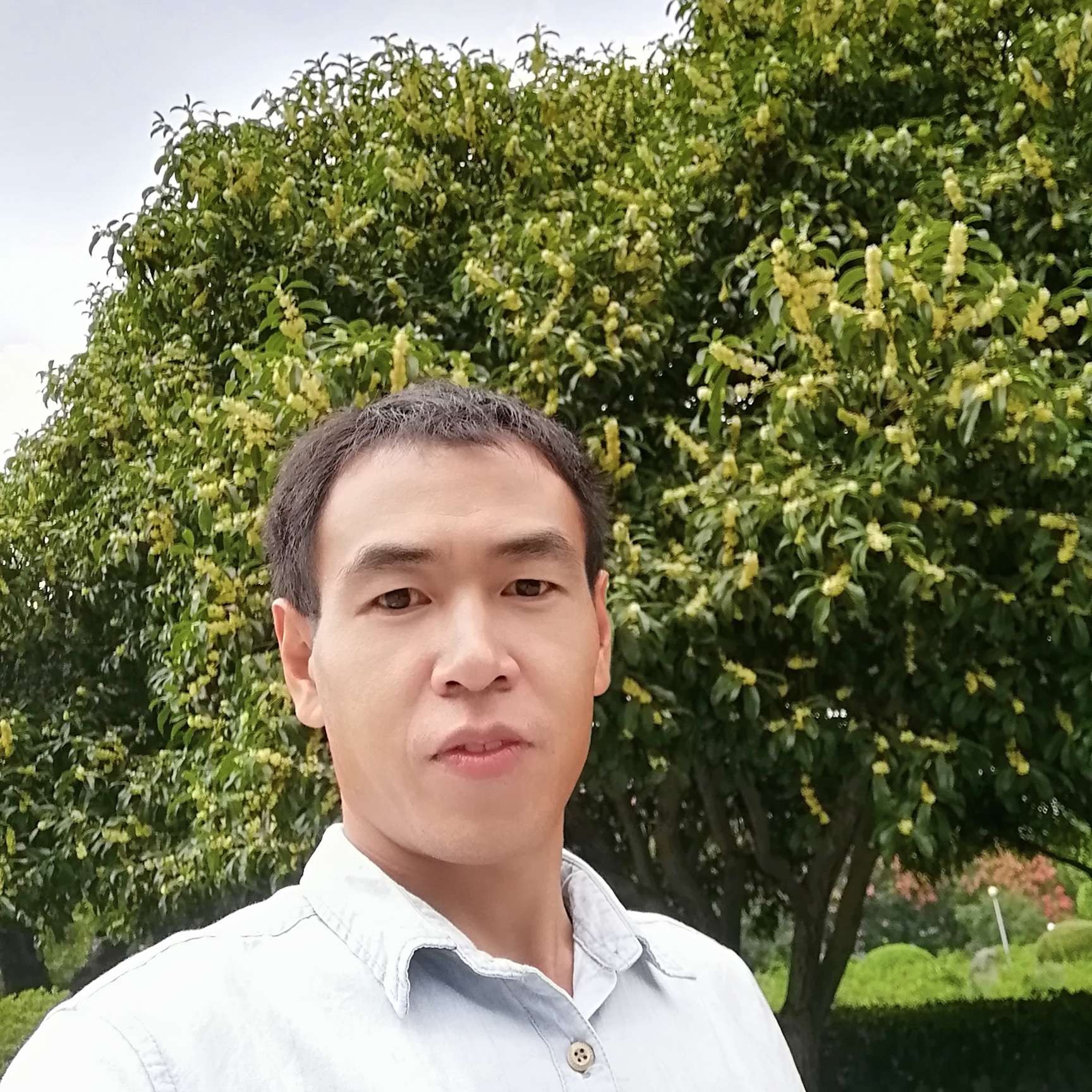 勤劳相许路人的照片