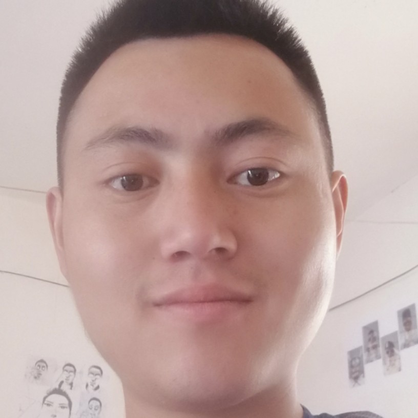 风中倾心鱼的照片