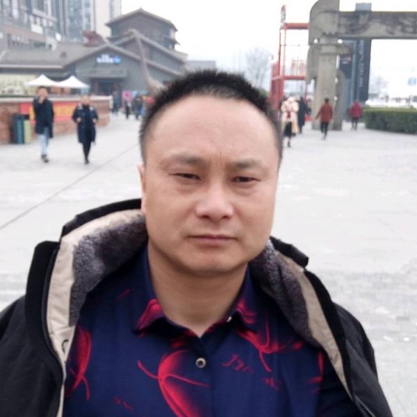 愉快和小天鹅的照片