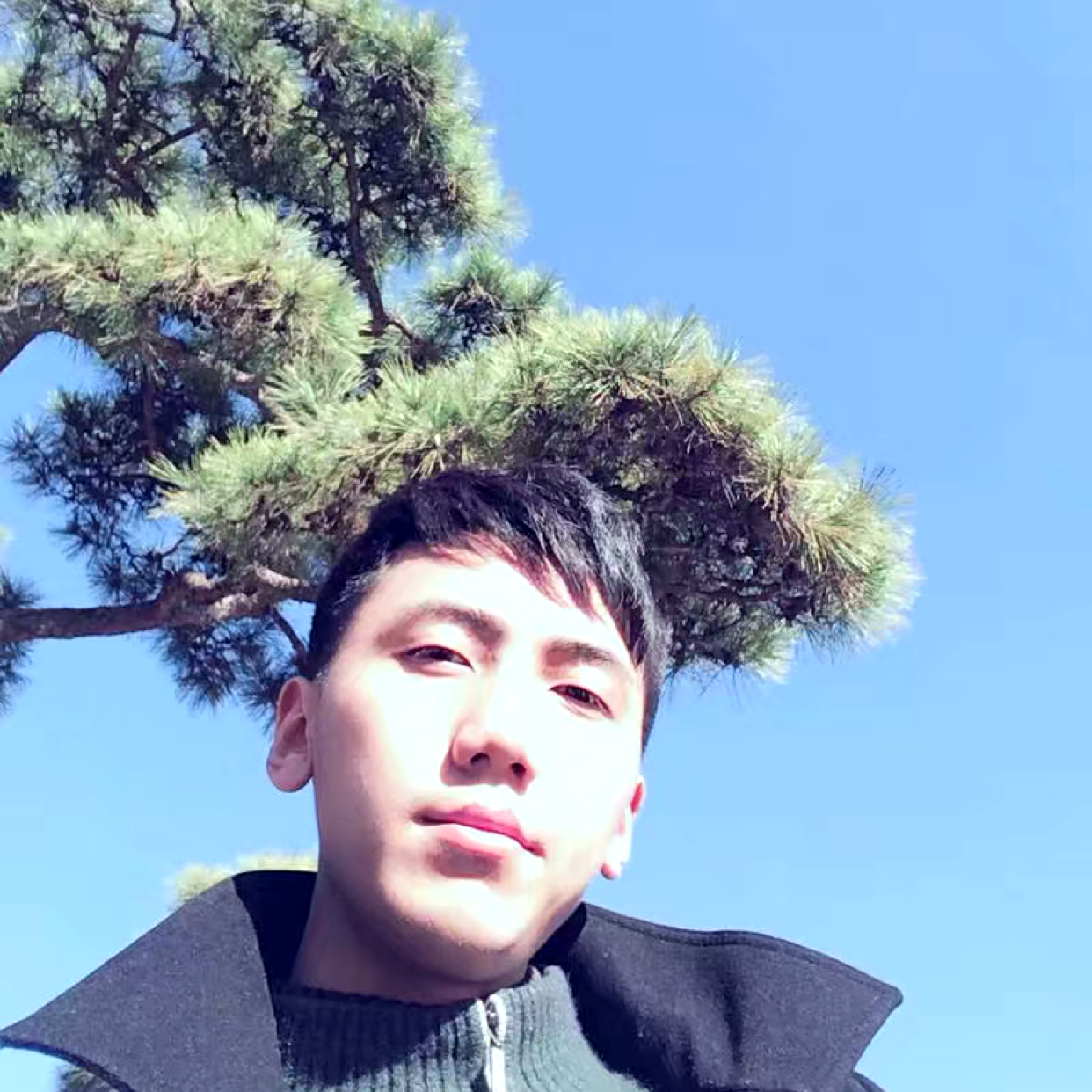 执剑叹青山的照片