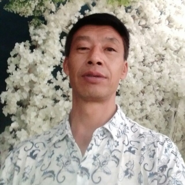 便当迎顺利的照片