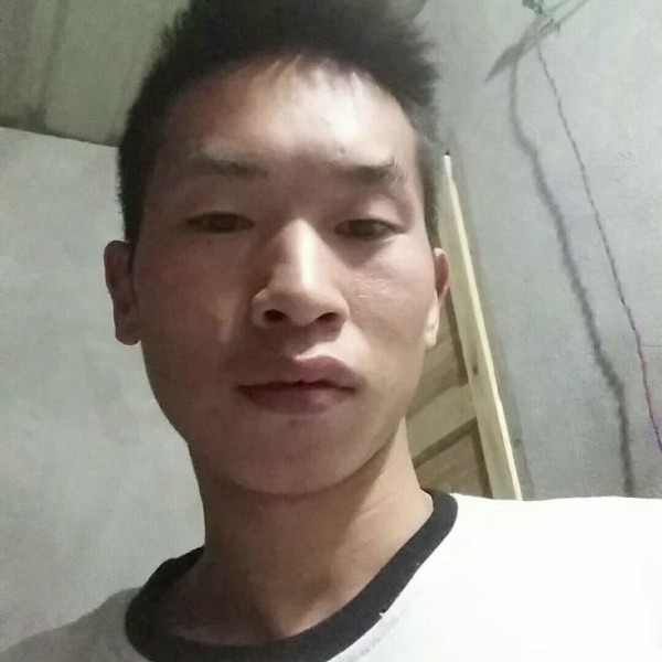 半夏爱恋幻灭的照片