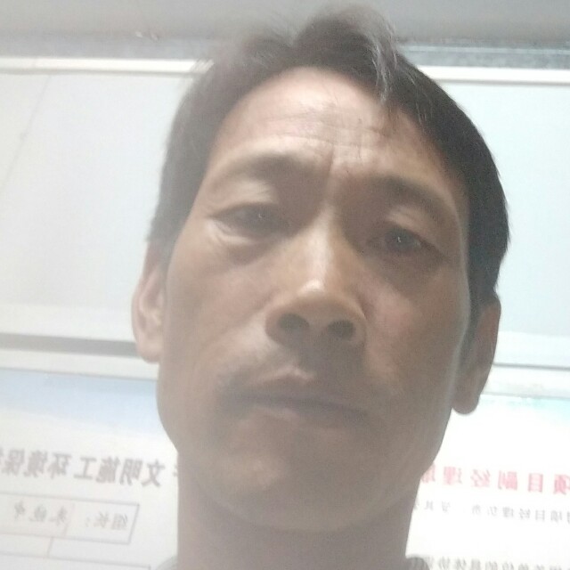 鸵鸟打结实的照片