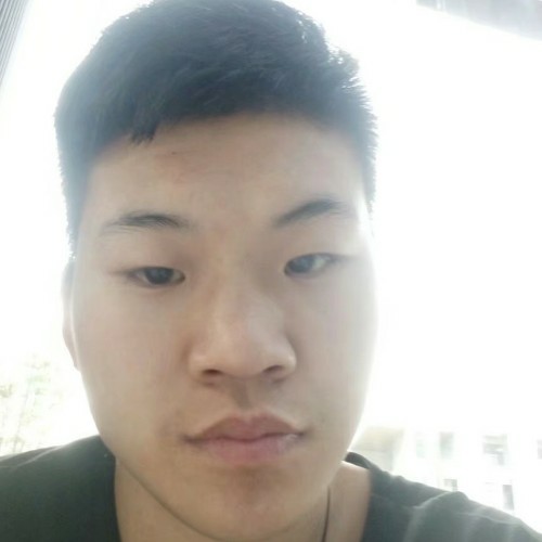 正直向化羽的照片