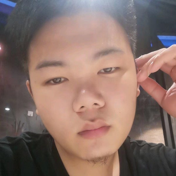 落寞树的照片