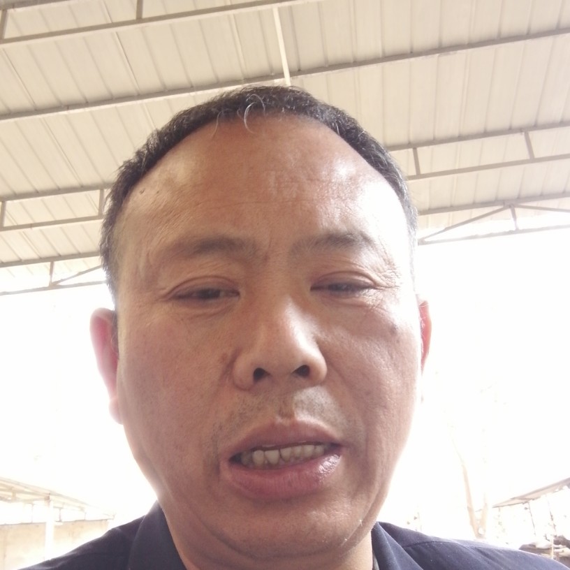 醉熏踢火的照片