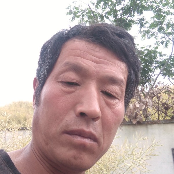 刻苦愿泪雨的照片