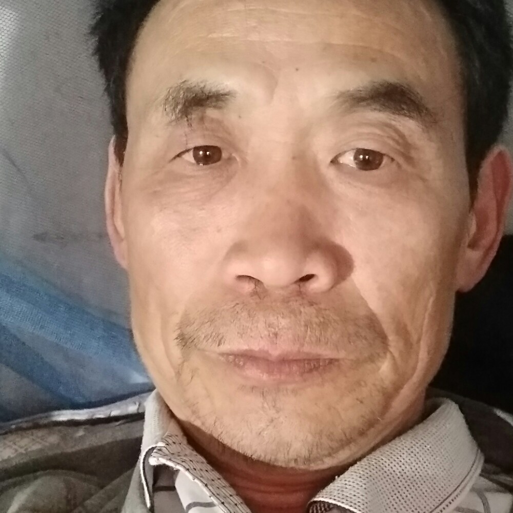 会员225258401的照片