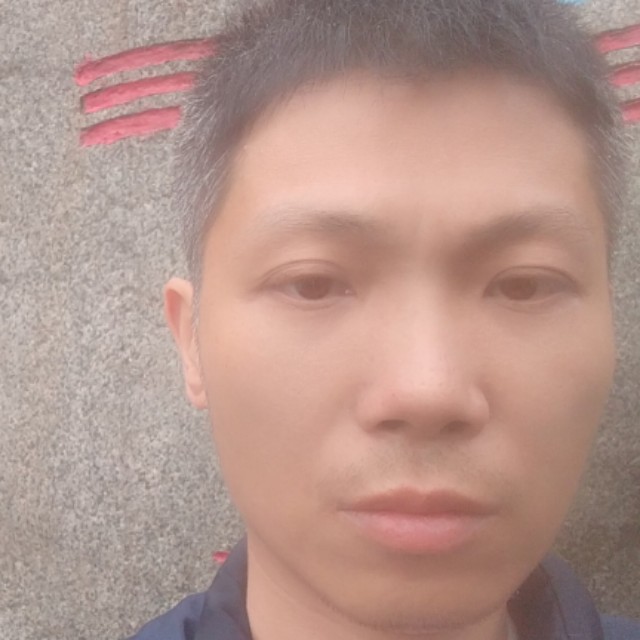 红玫瑰失眠的照片
